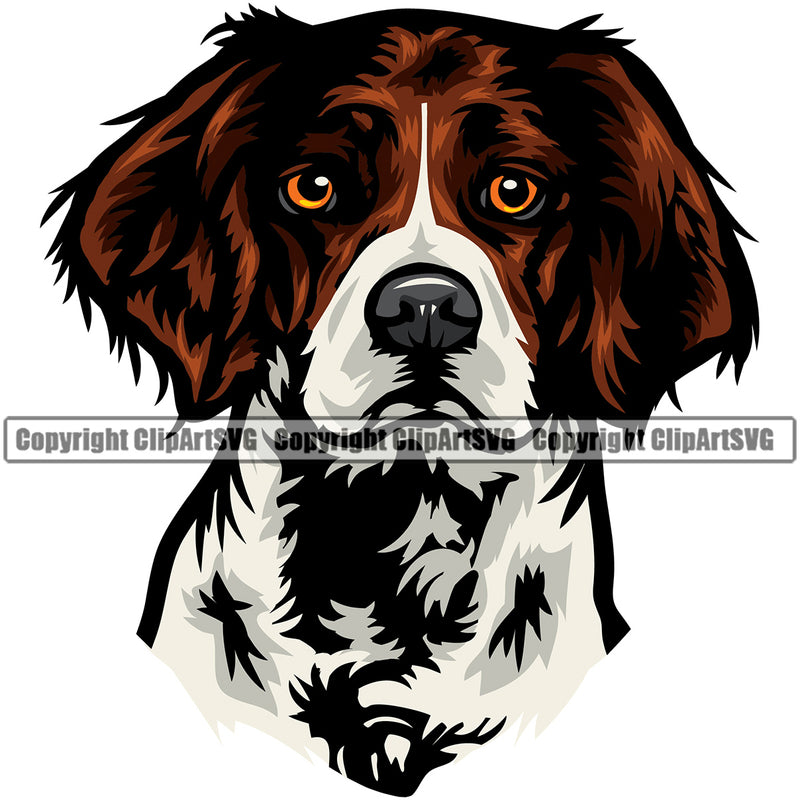 Brittany Spaniel Dog Cute Face Animal Vector Doggy Puppy Pup Head Purebred Pedigree Doggy Clipart SVG