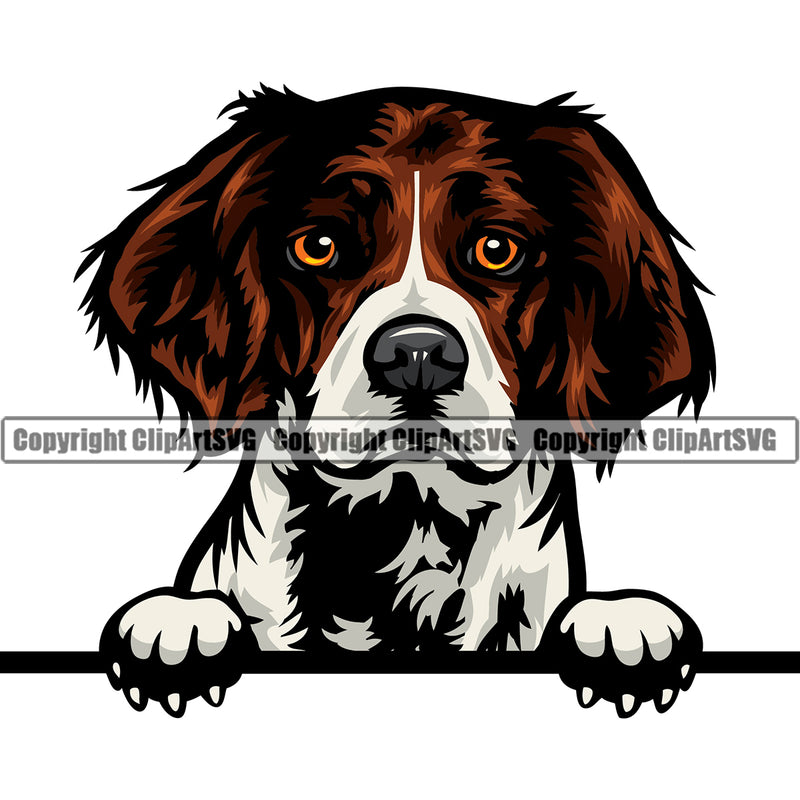 Brittany Spaniel Dog Peeking Puppy Pup Head Purebred Pedigree Cute Face Canine K-9 Clipart SVG