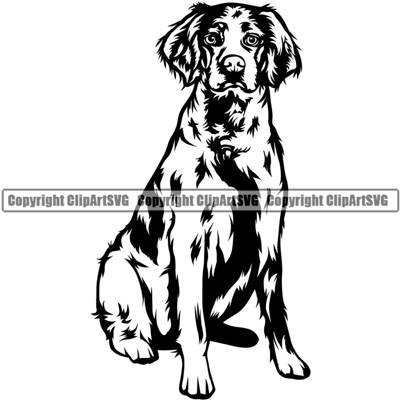 Brittany Spaniel Dog Sitting Animal Body Puppy Canine K-9 Pup Head Purebred Pedigree Vector Clipart SVG
