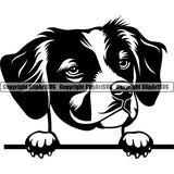 Peeking Brittany Spaniel Breed Dog Puppy Pup Head Purebred Pedigree Canine K-9 K9 Animal Portrait Doggy Vector Clipart SVG