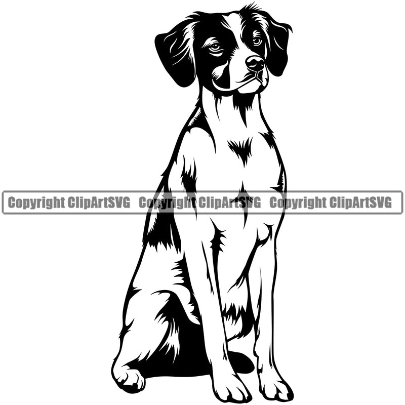 Brittany Spaniel Dog Sitting Puppy Pup Head Purebred Pedigree Animal Portrait Doggy Face Cute Clipart SVG
