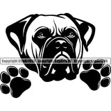 Bull Mastiff Dog Peeking Canine K-9 K9 Animal Portrait Doggy Face Cute Design Puppy Pup Head Purebred Clipart SVG