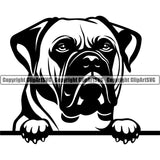 Bull Mastiff Dog Peeking Head Design Cute Face Puppy Pup Head Purebred Pedigree Canine K-9 K9 Clipart SVG