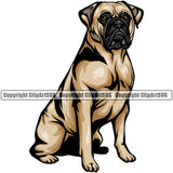 Bull Mastiff Dog Sitting Puppy Pup Head Purebred Pedigree Canine K-9 K9 Animal Portrait Clipart SVG