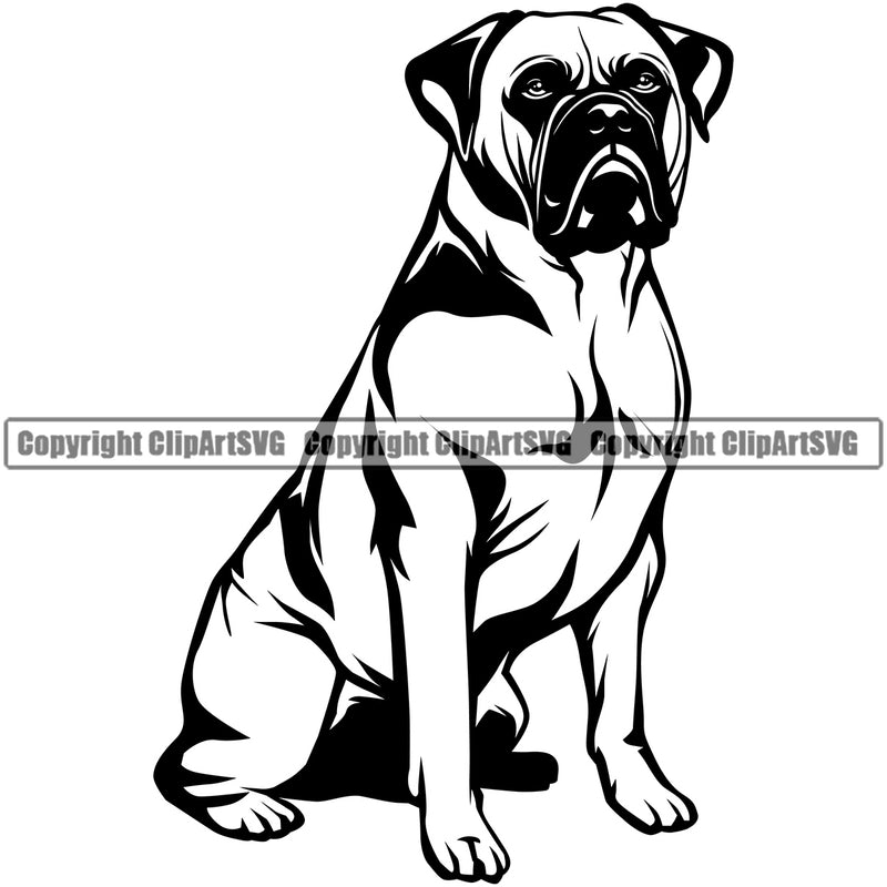 Bull Mastiff Dog Sitting Breed Animal Cute Face Design Puppy Pup Head Purebred Pedigree Canine K-9 K9 Clipart SVG