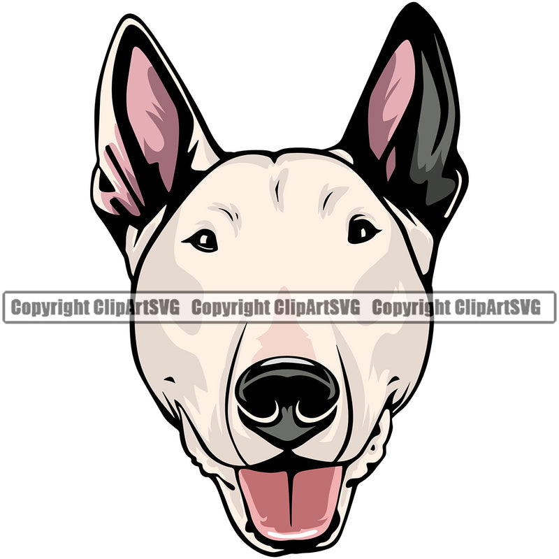 Bull Terrier Dog Color Head Design Puppy Pup Head Purebred Pedigree Cute Face Breed Animal Clipart SVG