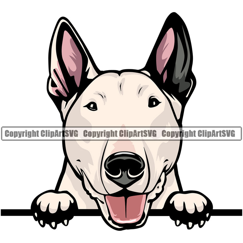 Bull Terrier Dog Peeking Puppy Pup Head Purebred Pedigree Canine K-9 K9 Animal Portrait Doggy Face Vector Clipart SVG