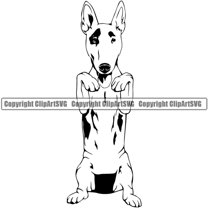 Bull Terrier Dog Begging Puppy Pup Head Purebred Pedigree Canine K-9 K9 Animal Portrait Doggy Vector Clipart SVG