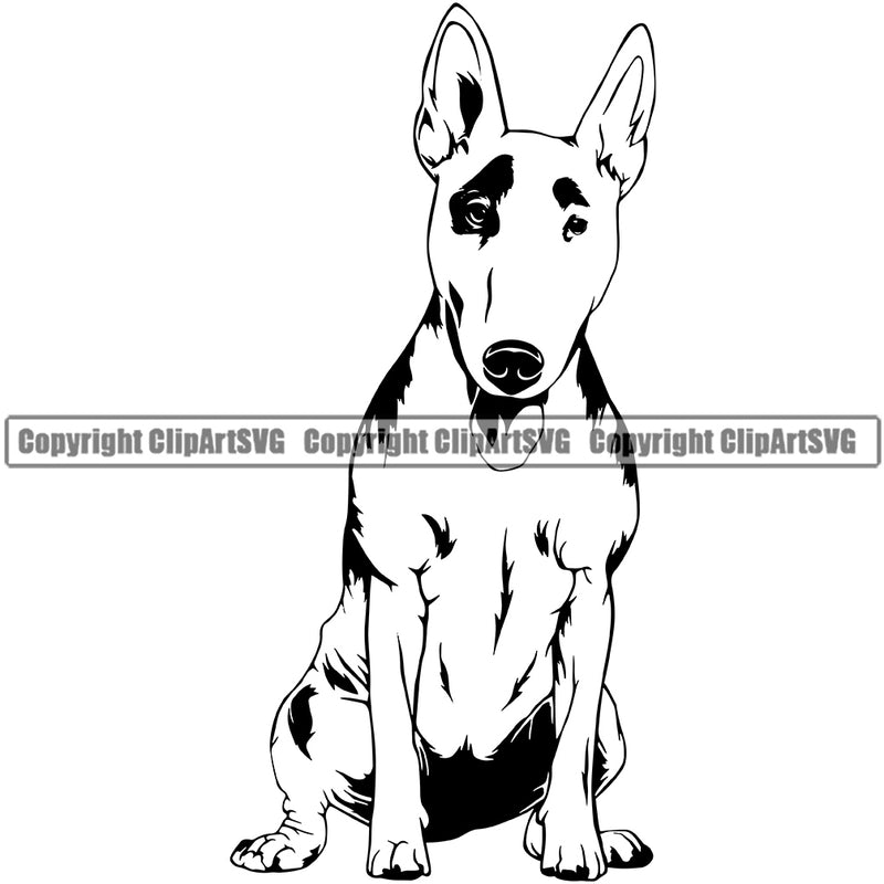 Bull Terrier Dog Sitting Puppy Pup Head Purebred Pedigree Canine K-9 K9 Animal Portrait Clipart SVG