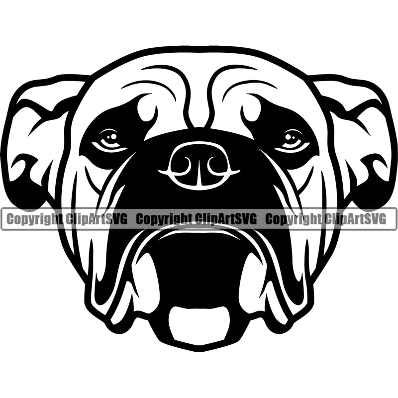 Bull Dog Head Puppy Pup Head Purebred Pedigree Canine K-9 K9 Animal Portrait Vector Clipart SVG
