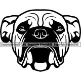 Bull Dog Head Puppy Pup Head Purebred Pedigree Canine K-9 K9 Animal Portrait Vector Clipart SVG