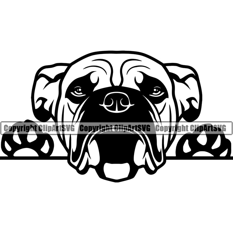 Bull Dog Peeking Puppy Pup Head Purebred Pedigree Animal Cute Face Design Clipart SVG