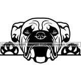 Bull Dog Peeking Puppy Pup Head Purebred Pedigree Animal Cute Face Design Clipart SVG