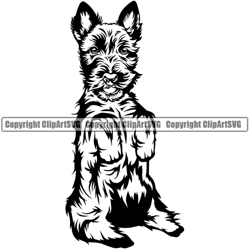 Caine Terrier Dog Begging Canine K-9 K9 Animal Portrait Doggy Face Cute Puppy Pup Head Purebred Pedigree Clipart SVG