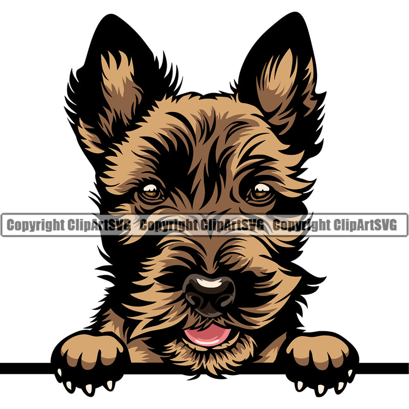 Caine Terrier Dog Peeking Color Head Design Portrait Doggy Face Cute Puppy Pup Head Purebred K9 Clipart SVG