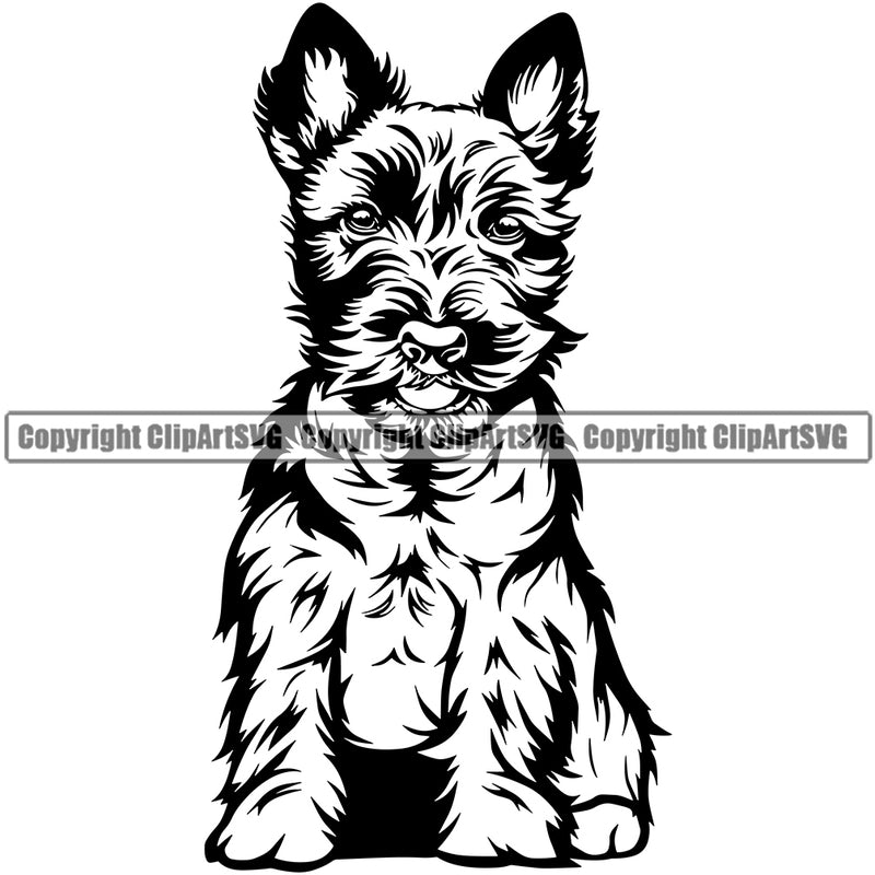 Caine Terrier Dog Sitting Cute Face Animal Breed Puppy Pup Head Purebred Pedigree Canine K-9 K9 Clipart SVG