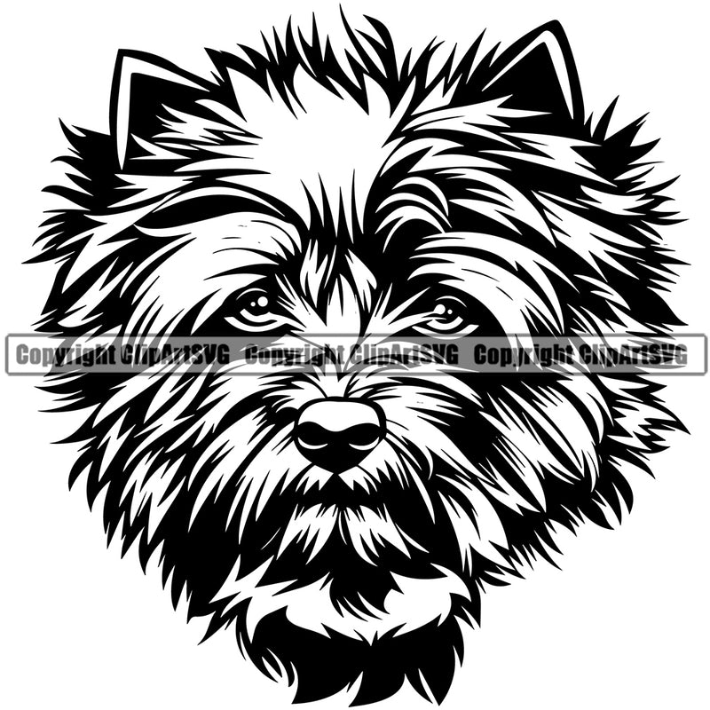 Caine Terrier Dog Head Design Cute Face Breed Puppy Pup Head Purebred Pedigree Canine K-9 K9 Animal Clipart SVG