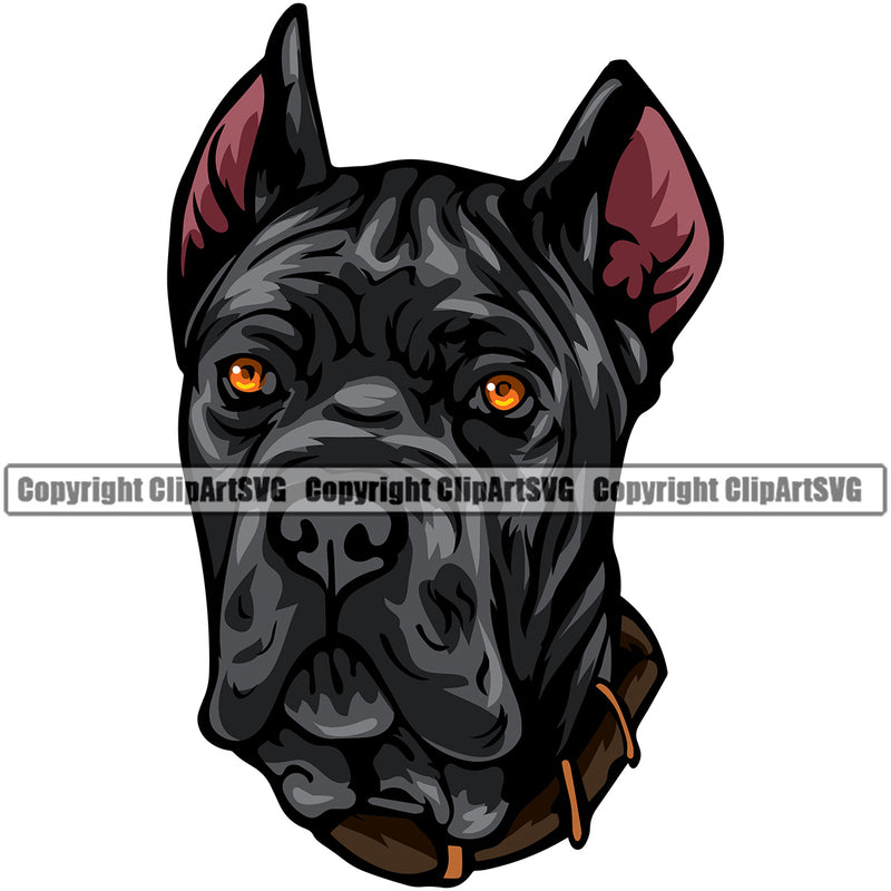 Cane Corso Dog Design Head Color Portrait Doggy Face Cute Animal Puppy Pup Head Purebred Pedigree Clipart SVG