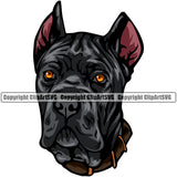 Cane Corso Dog Design Head Color Portrait Doggy Face Cute Animal Puppy Pup Head Purebred Pedigree Clipart SVG