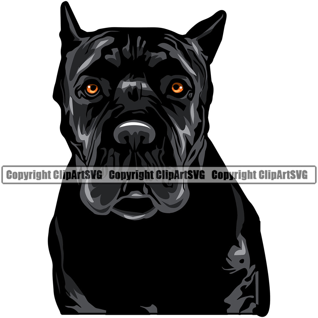 Cane Corso Dog Puppy Pup Head Purebred Pedigree  Portrait Doggy Face Cute Animal Clipart SVG