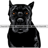 Cane Corso Dog Puppy Pup Head Purebred Pedigree  Portrait Doggy Face Cute Animal Clipart SVG