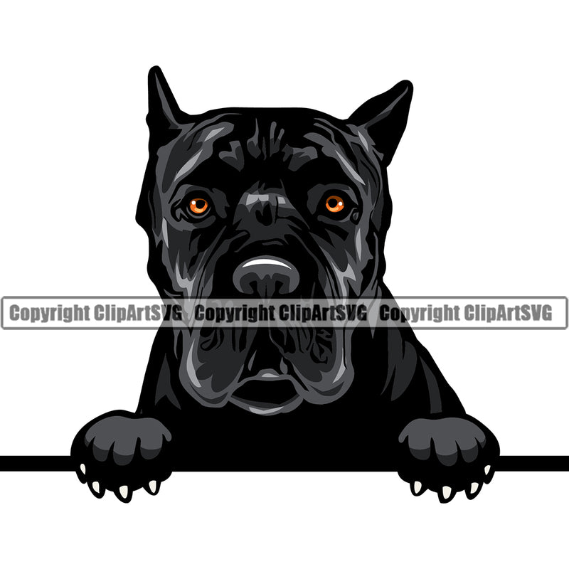 Cane Corso Breed Dog Head Color Design Puppy Pup Head Purebred Pedigree Canine K-9 K9 Animal Portrait Clipart SVG