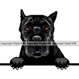 Cane Corso Breed Dog Head Color Design Puppy Pup Head Purebred Pedigree Canine K-9 K9 Animal Portrait Clipart SVG