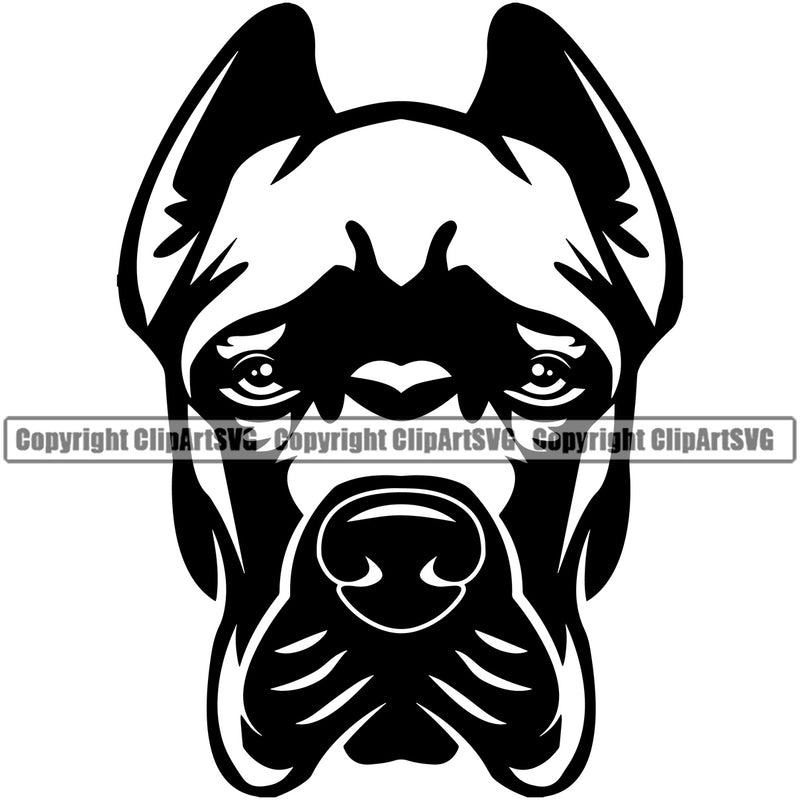 Cane Corso Dog Head Animal Puppy Purebred Head Pedigree Canine K-9 K9 Portrait Doggy Cute Clipart SVG