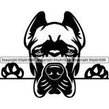 Cane Corso Dog Peeking Canine K-9 K9 Puppy Pup Head Purebred Pedigree Canine K-9 K9 Clipart SVG