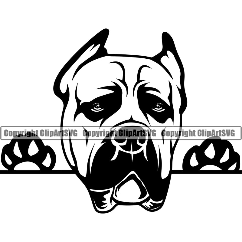 Cane Corso Dog Peeking Animal Canine K-9 K9 Puppy Pup Head Purebred Pedigree Portrait Doggy Clipart SVG