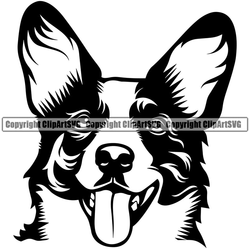 Cardigan Welsh Corgi Dog Puppy Pup Head Purebred Pedigree Design Canine K-9 K9 Animal Clipart SVG