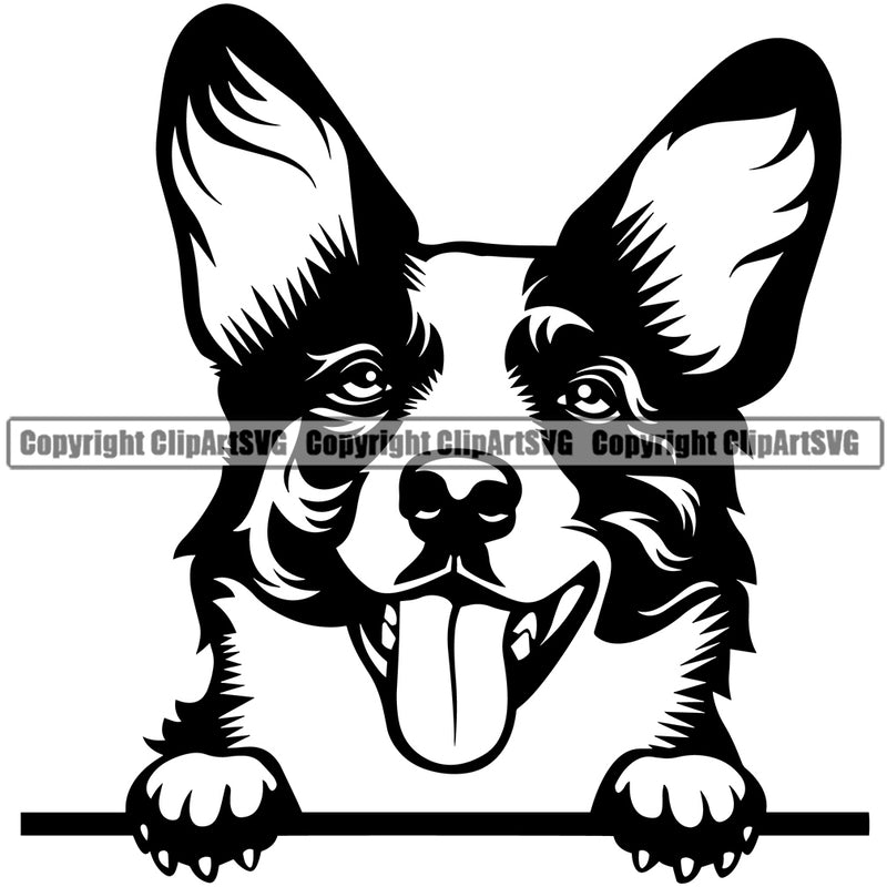 Cardigan Welsh Corgi Dog Peeking Head Doggy Face Cute Puppy Pup Head Purebred Pedigree Clipart SVG