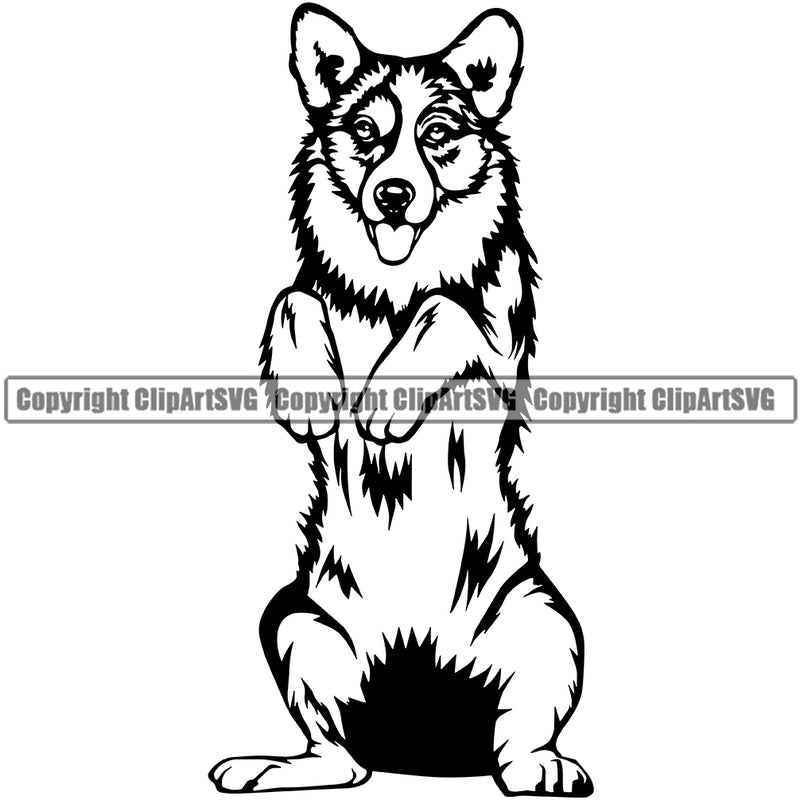 Cardigan Welsh Corgi Dog Begging Puppy Head Purebred K9 Animal Portrait Doggy Pedigree Face Cute Clipart SVG
