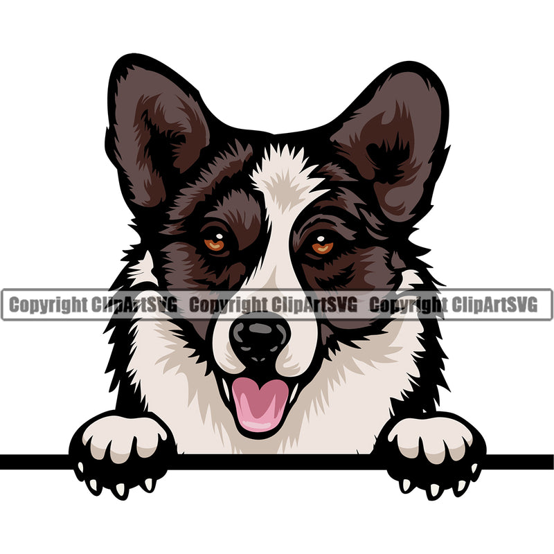 Cardigan Welsh Corgi Dog Peeking Color Head Puppy Head Purebred Pedigree Cute Face Clipart SVG
