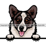 Cardigan Welsh Corgi Dog Peeking Color Head Puppy Head Purebred Pedigree Cute Face Clipart SVG