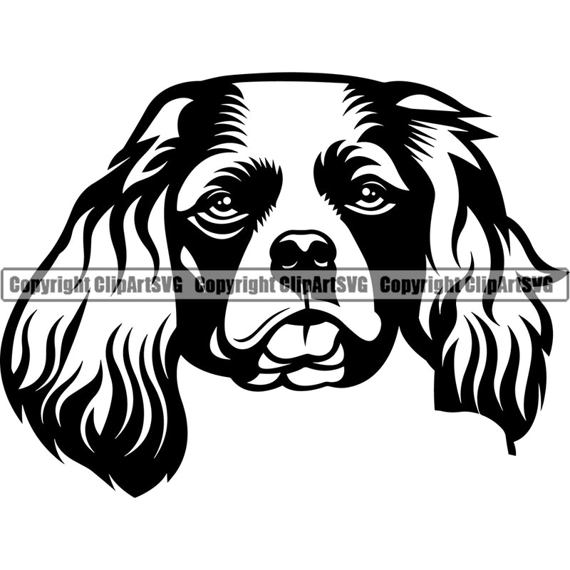 Cavalier King Charles Dog Head Puppy Pup Head Purebred Pedigree Canine K-9 K9 Animal Portrait Clipart SVG