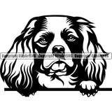 Cavalier King Charles Dog Peeking Breed Puppy Pup Head Purebred Pedigree Doggy Face Cute Animal Clipart SVG