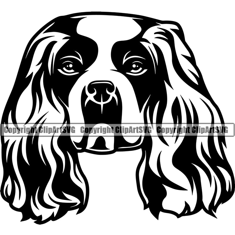 Cavalier King Charles Dog Head Puppy Pup Head Purebred Pedigree Canine K-9 K9 Animal Portrait Clipart SVG