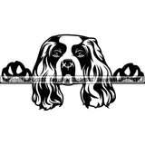 Cavalier King Charles Dog Peeking Vector Puppy Pup Head Purebred Pedigree Canine K-9 K9 Animal Clipart SVG