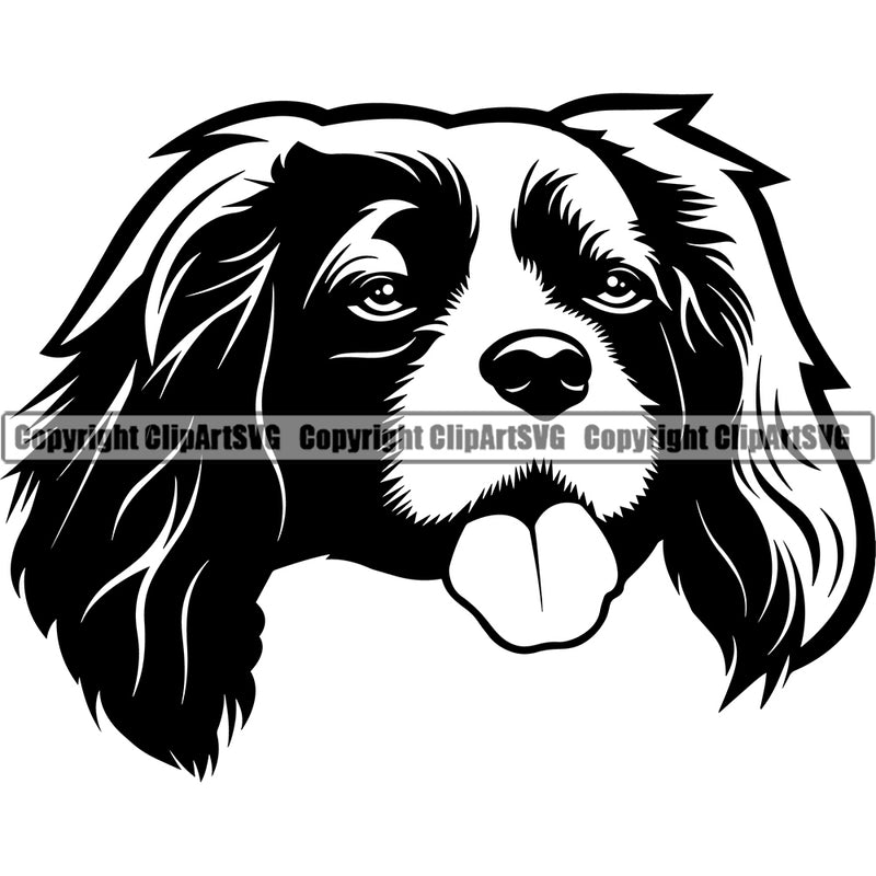 Cavalier King Charles Spaniel Dog Cute Head Puppy Pup Head Purebred Pedigree Animal K9 Clipart SVG