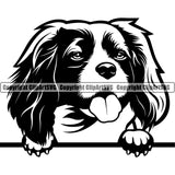 Cavalier King Charles Spaniel Dog Peeking Design Animal Doggy Face Cute Puppy Head Purebred Pedigree Clipart SVG