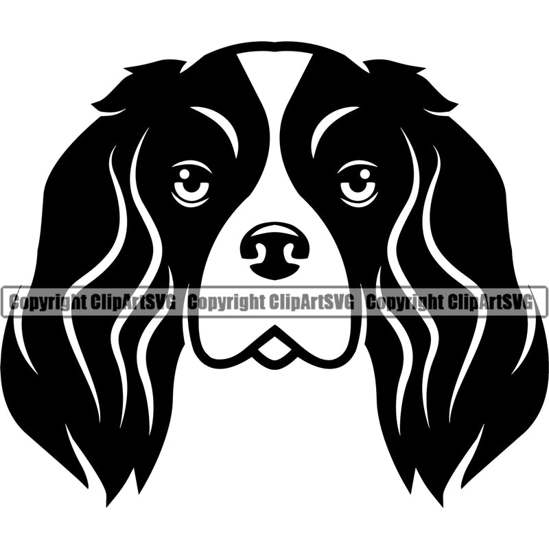 Cavalier King Charles Spaniel Dog Head Puppy Pup Head Purebred Pedigree Canine K-9 K9 Clipart SVG