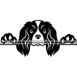 Cavalier King Charles Spaniel Dog Peeking Cute Face Animal Puppy Pup Head Purebred Pedigree Canine K-9 K9 Clipart SVG