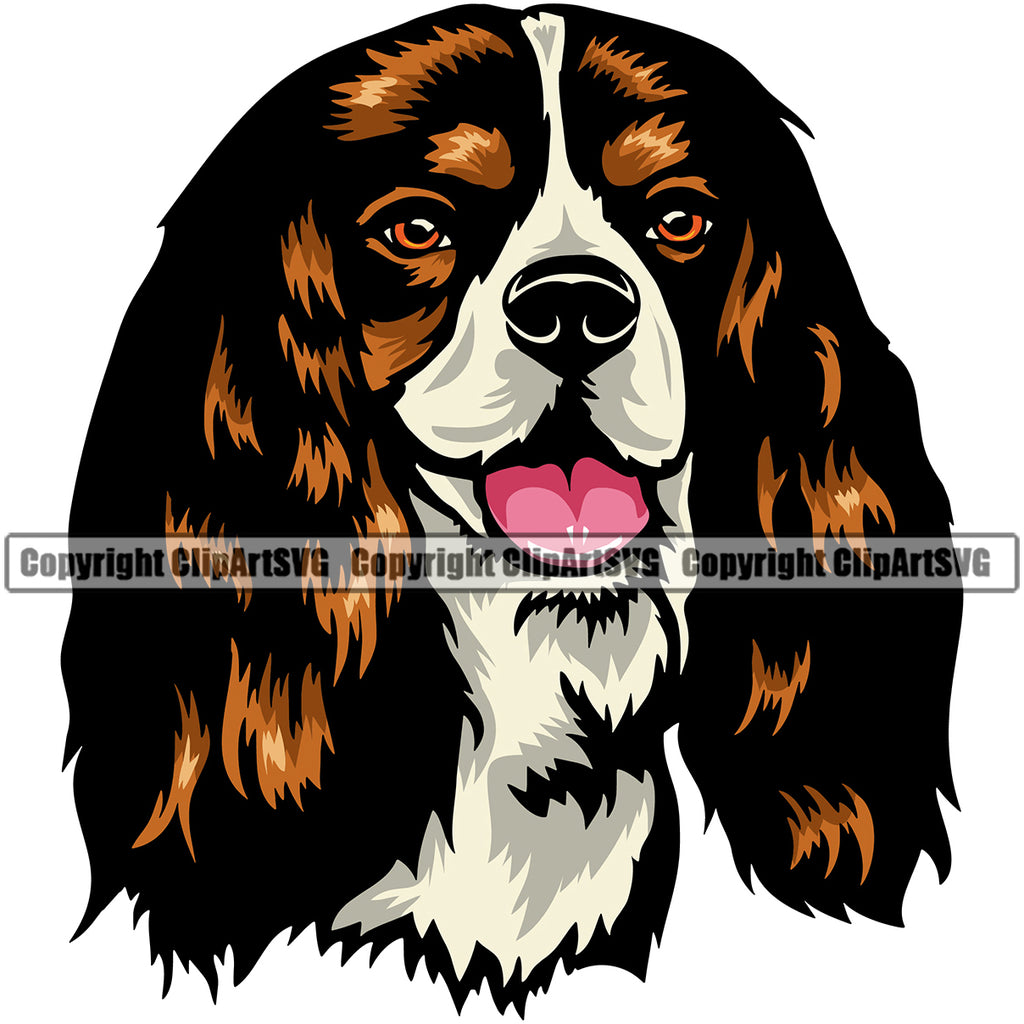 Cavalier King Charles Spaniel Dog Head Color Portrait Puppy Doggy Face Cute Pup Head Purebred Pedigree Clipart SVG
