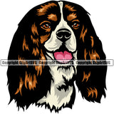 Cavalier King Charles Spaniel Dog Head Color Portrait Puppy Doggy Face Cute Pup Head Purebred Pedigree Clipart SVG