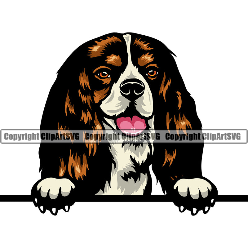 Cavalier King Charles Spaniel Dog Peeking Color Canine K-9 K9 Animal Portrait Puppy Pup Head Purebred Pedigree Clipart SVG