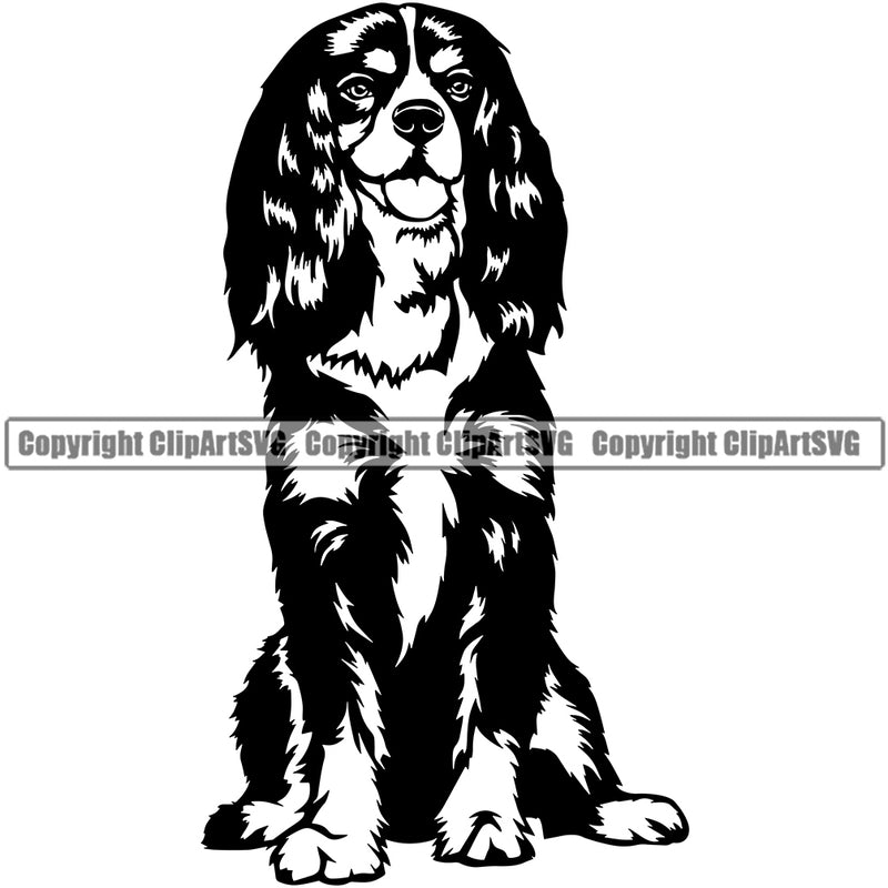 Cavalier King Charles Spaniel Dog Sitting Puppy Pup Head Purebred Pedigree Canine K-9 K9 Animal Clipart SVG