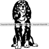 Cavalier King Charles Spaniel Dog Sitting Puppy Pup Head Purebred Pedigree Canine K-9 K9 Animal Clipart SVG
