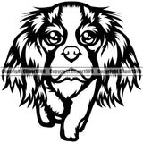 Cavalier King Charles Spaniel Dog Body Design Puppy Pup Head Purebred Pedigree Animal K9 Clipart SVG