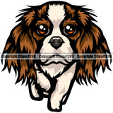 Cavalier King Charles Spaniel Dog Color Body Puppy Pup Head Purebred Pedigree Canine K-9 K9 Animal Portrait Doggy Clipart SVG
